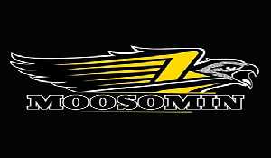 Junior Hockey coming to Moosomin